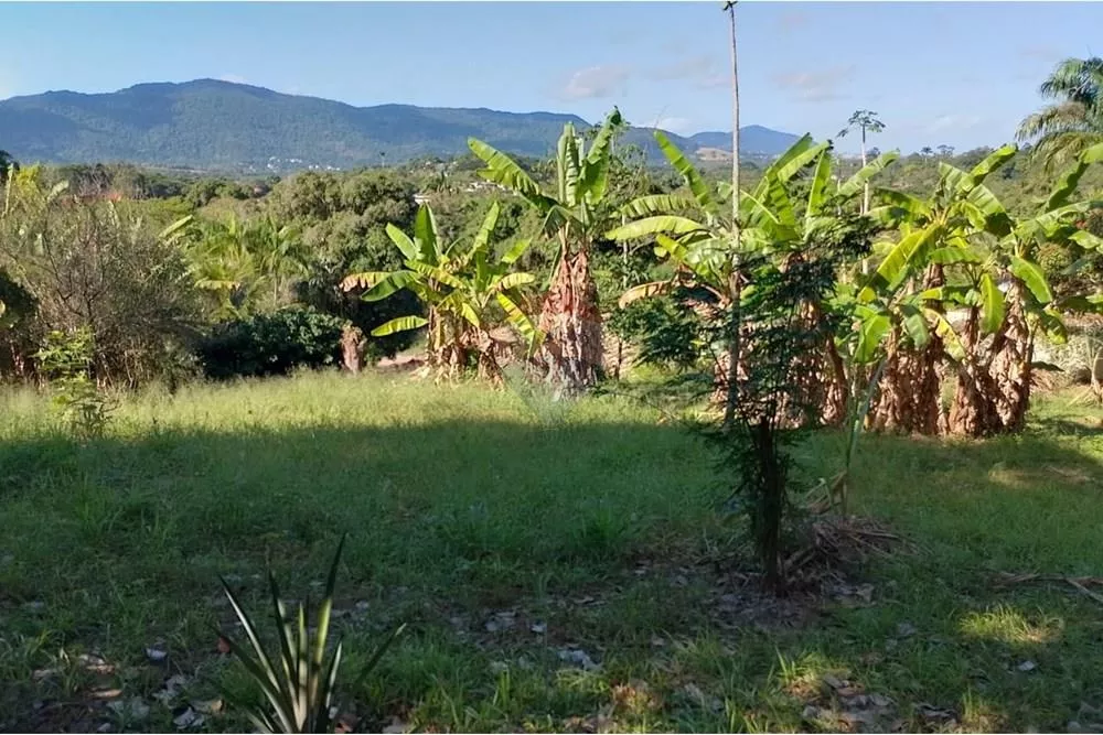 Terreno, 2729 m² - Foto 18