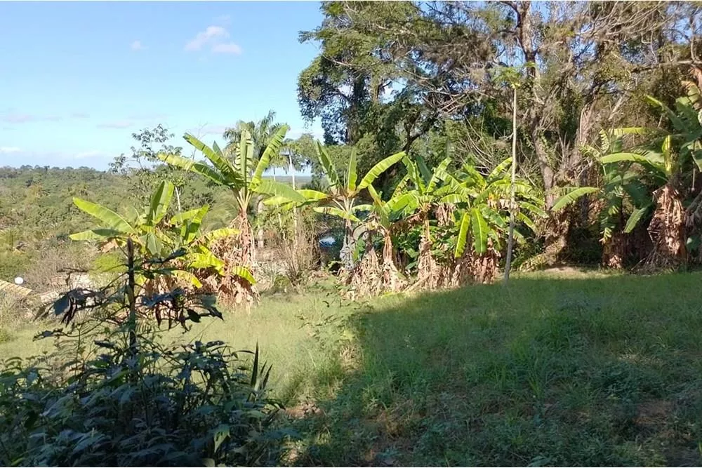 Terreno, 2729 m² - Foto 17