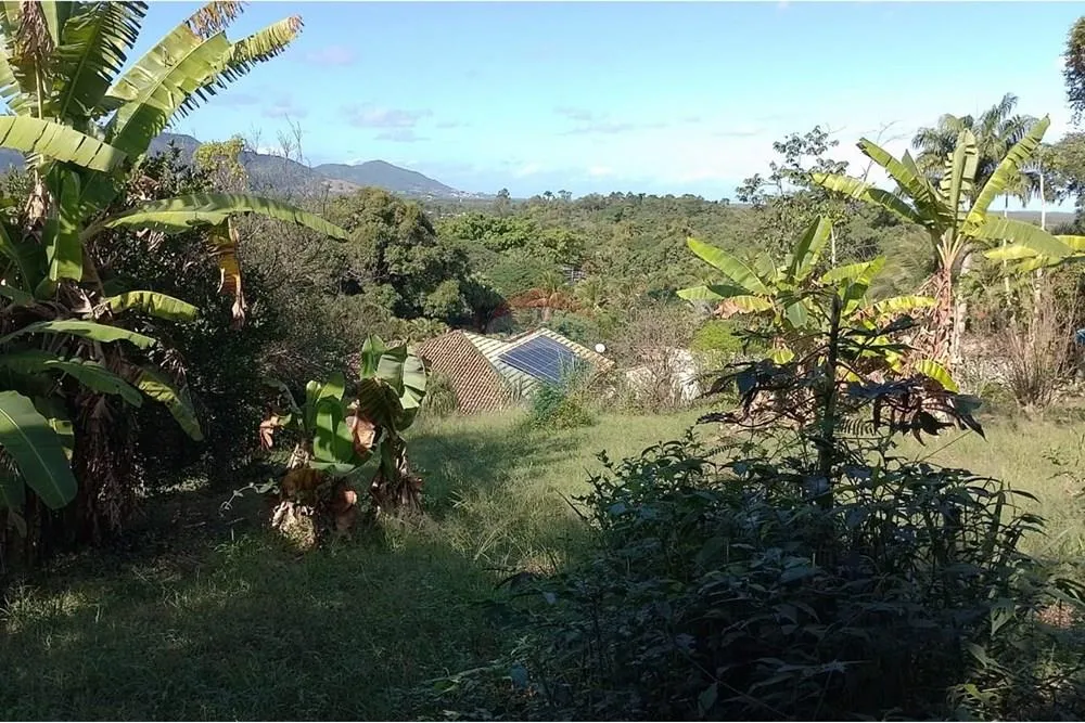 Terreno, 2729 m² - Foto 3