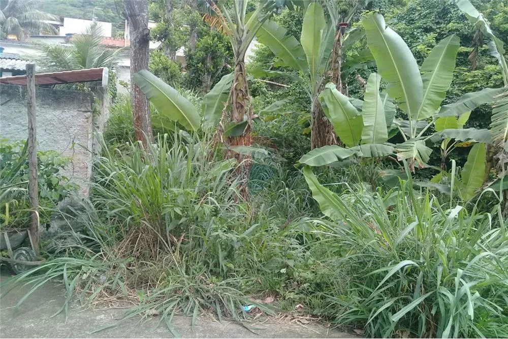 Terreno, 330 m² - Foto 3