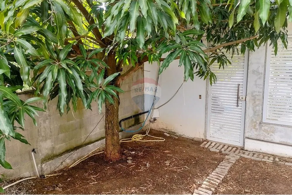 Casa, 1 quarto, 325 m² - Foto 7