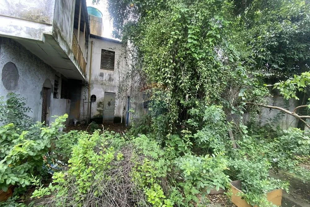 Depósito-Galpão, 1205 m² - Foto 3