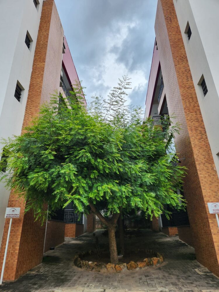 Apartamento à venda com 2 quartos, 58m² - Foto 3