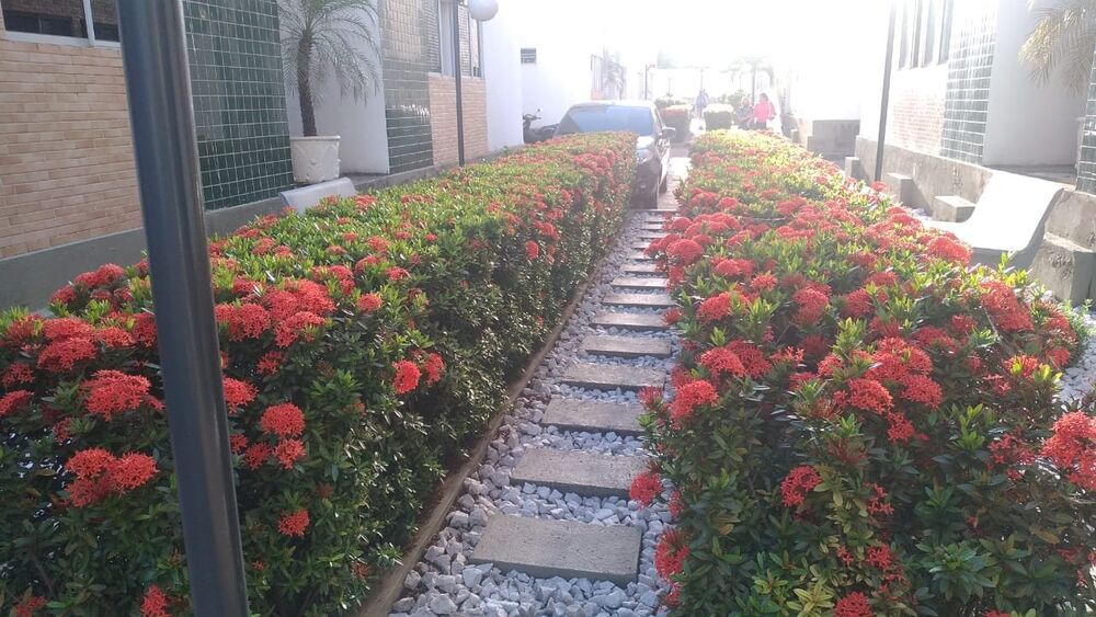 Apartamento à venda e aluguel com 2 quartos, 58m² - Foto 2