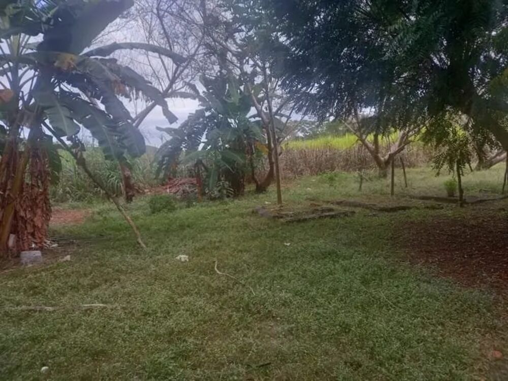 Sítio à venda com 5 quartos, 3800m² - Foto 4
