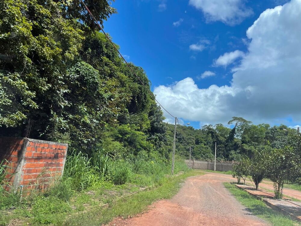 Terreno à venda - Foto 4