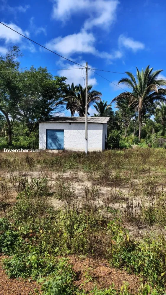 Sítio, 21 m² - Foto 13