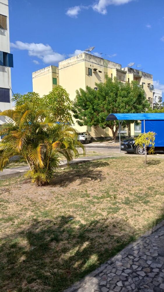 Apartamento, 3 quartos, 68 m² - Foto 3