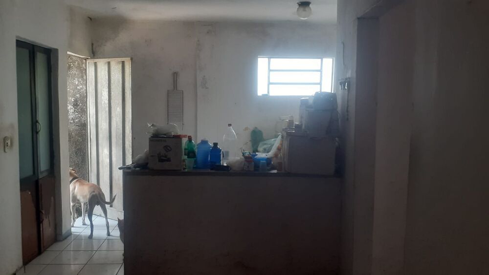 Casa, 3 quartos, 300 m² - Foto 6