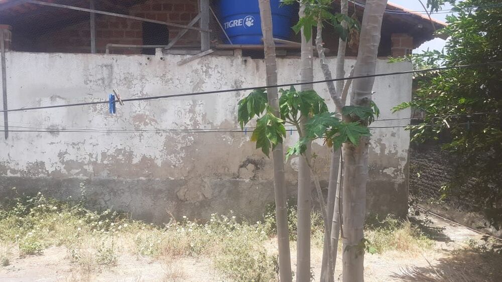 Casa, 3 quartos, 300 m² - Foto 4