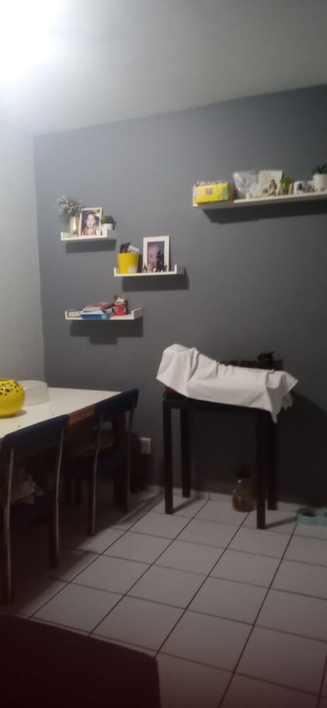 Apartamento à venda com 3 quartos, 73m² - Foto 11