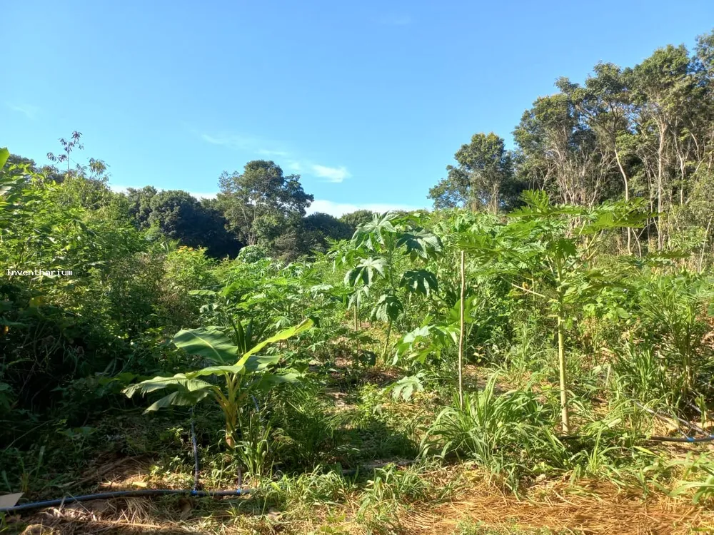 Terreno, 10 m² - Foto 13