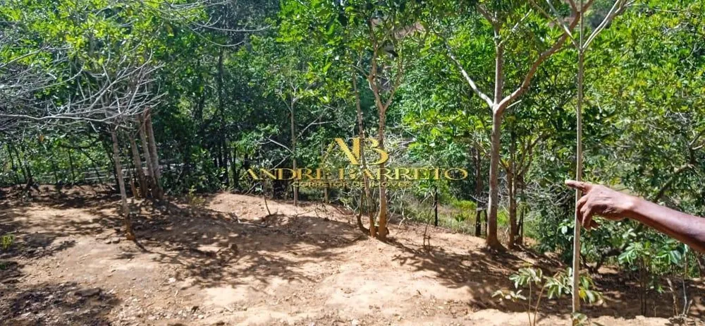 Chácara, 4 quartos, 2599 m² - Foto 12