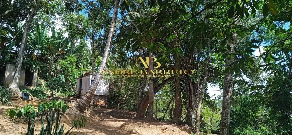 Chácara, 4 quartos, 2599 m² - Foto 10