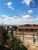 Terreno - Foto 3