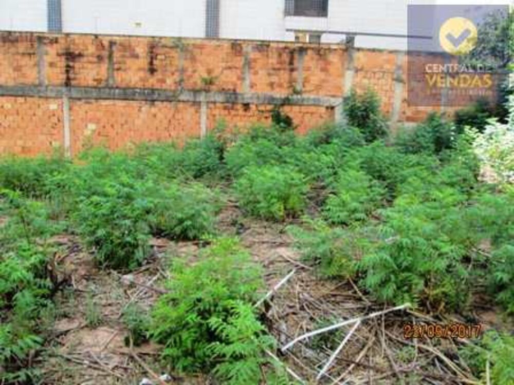 Terreno, 2700 m² - Foto 2