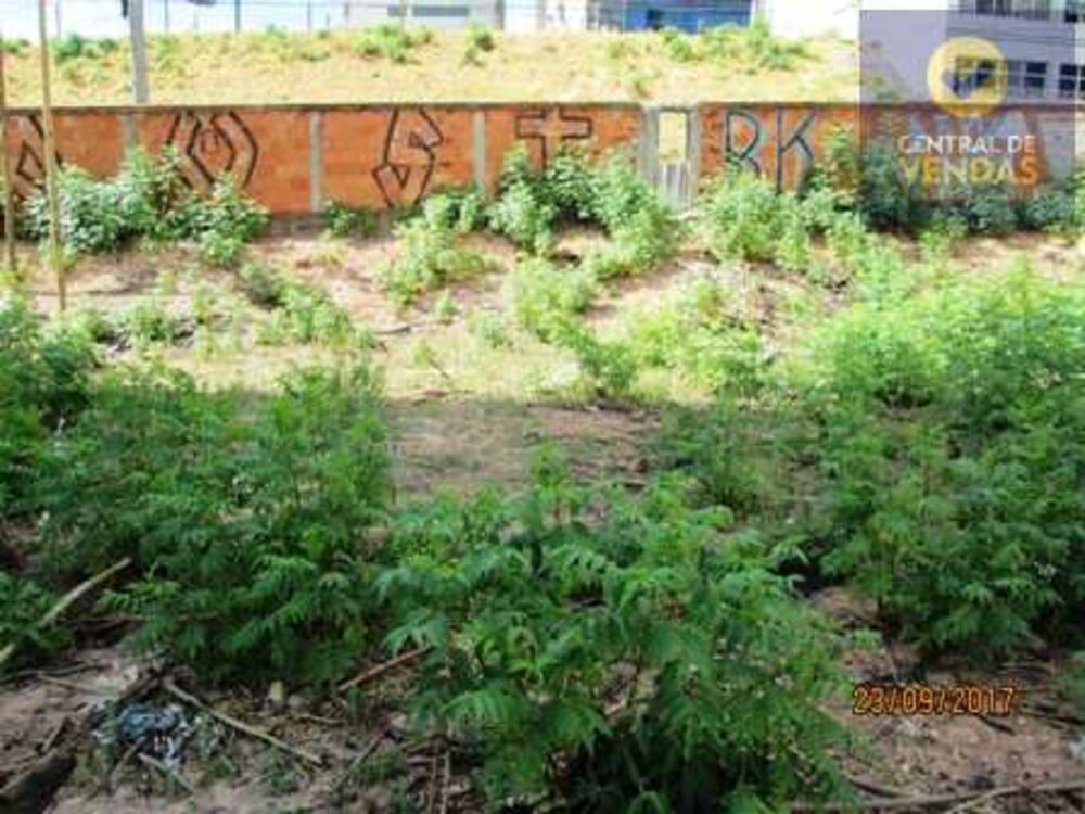 Terreno, 2700 m² - Foto 3