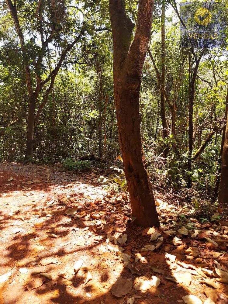 Terreno, 7927 m² - Foto 2