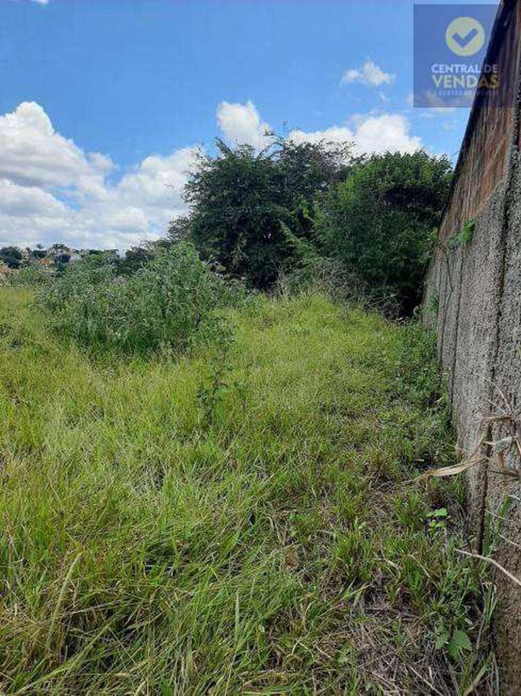 Terreno, 1000 m² - Foto 3