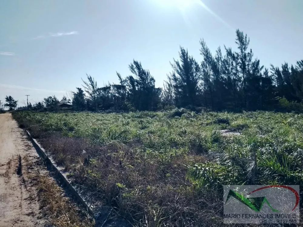 Terreno, 3185 m² - Foto 4
