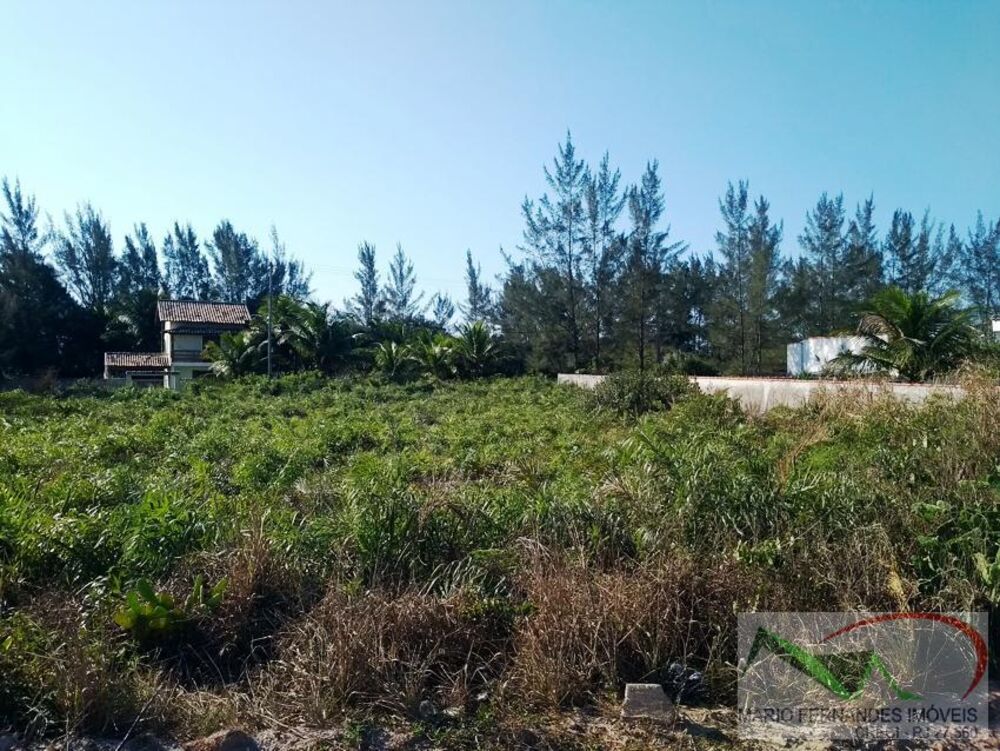 Terreno, 3185 m² - Foto 7