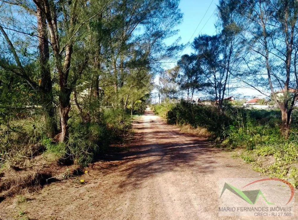 Terreno, 3185 m² - Foto 15