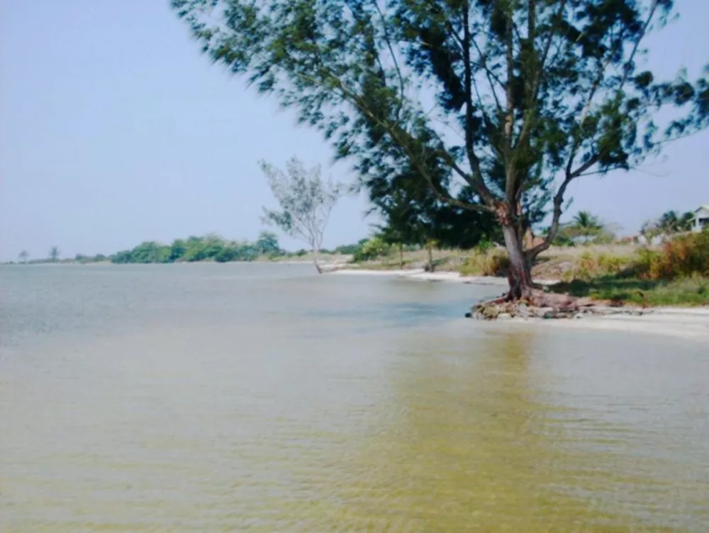 Casa, 2 quartos - Foto 24