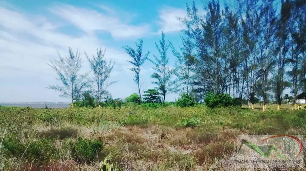 Terreno, 8510 m² - Foto 8