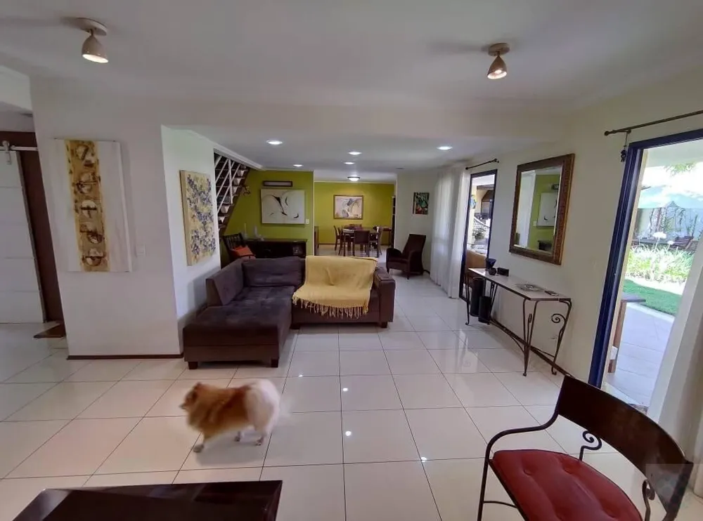Casa, 5 quartos, 320 m² - Foto 11