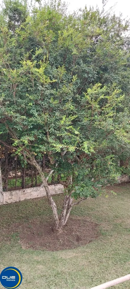 Chácara, 2 quartos, 164 m² - Foto 3