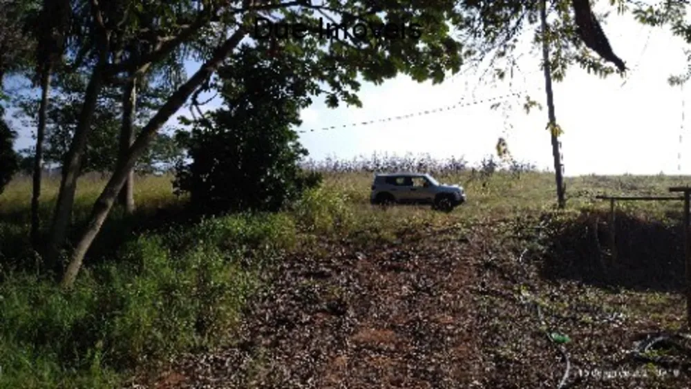 Terreno, 2 hectares - Foto 9