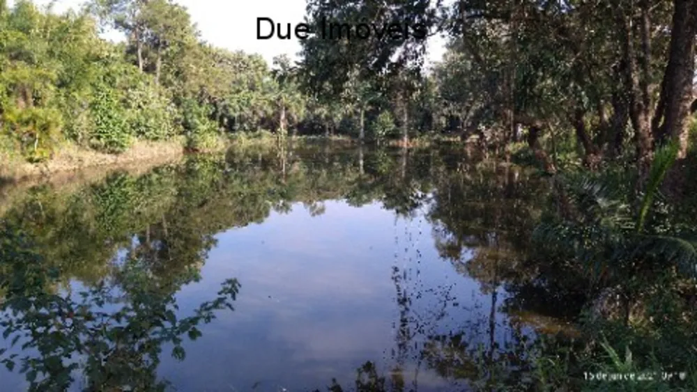 Terreno, 2 hectares - Foto 7