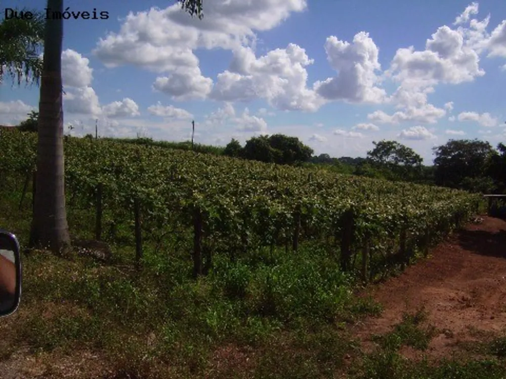 Terreno, 2 hectares - Foto 4
