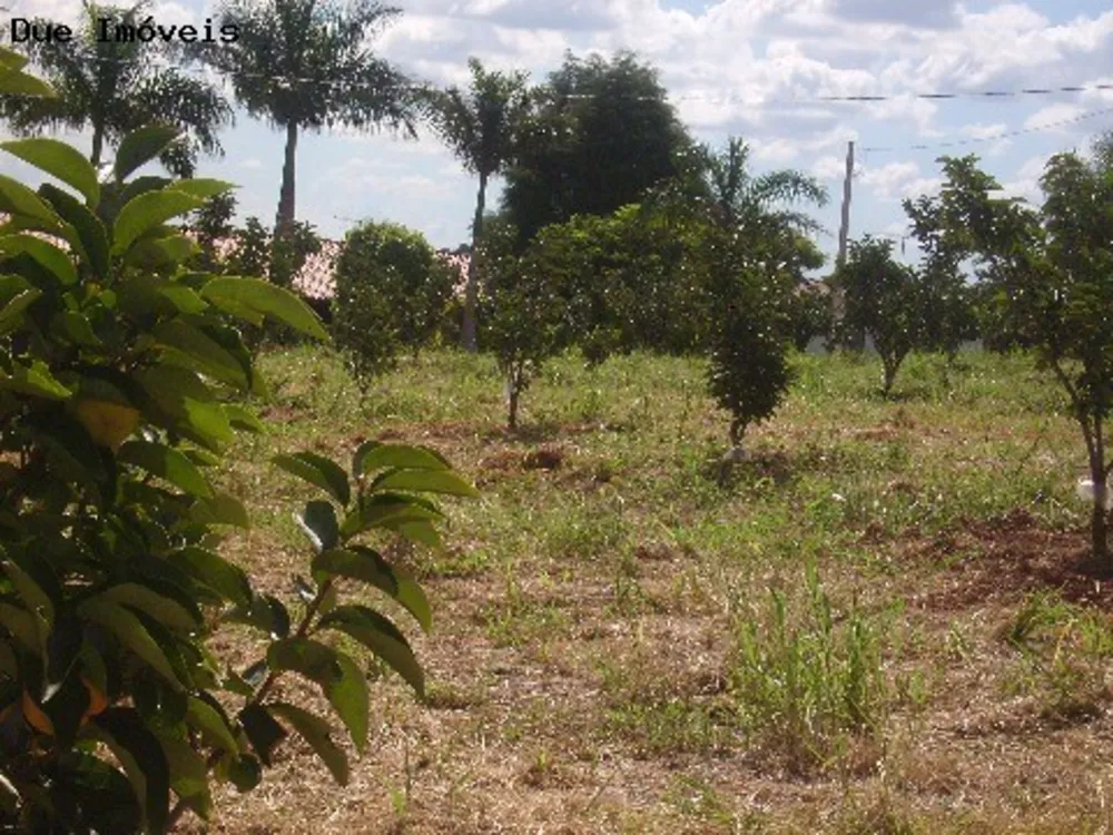 Terreno, 2 hectares - Foto 1