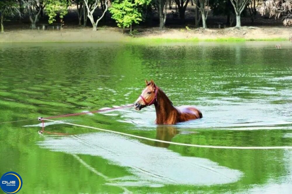 Terreno, 3045 m² - Foto 2