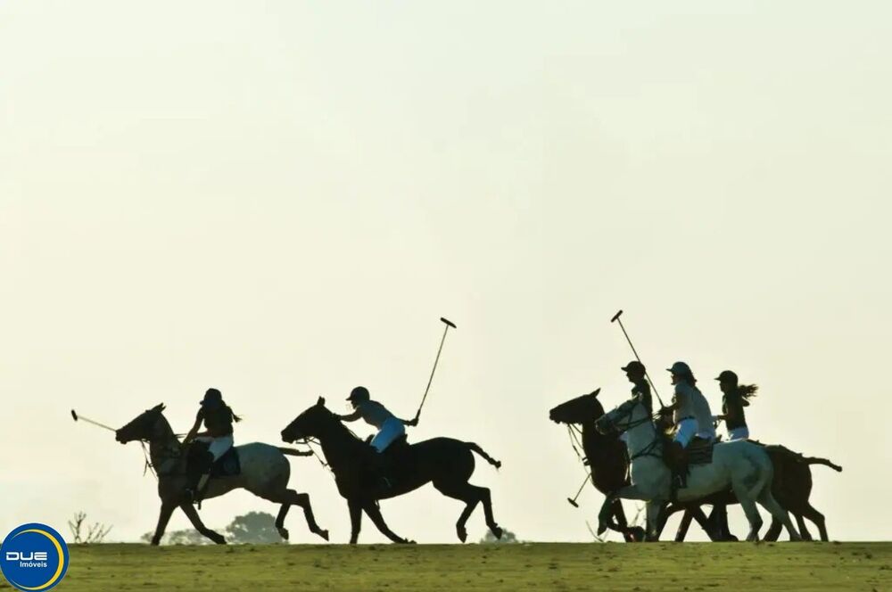 Terreno, 3045 m² - Foto 3