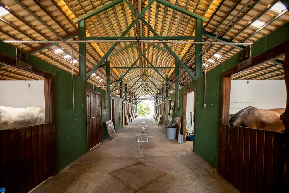 Casa, 4 quartos - Foto 7