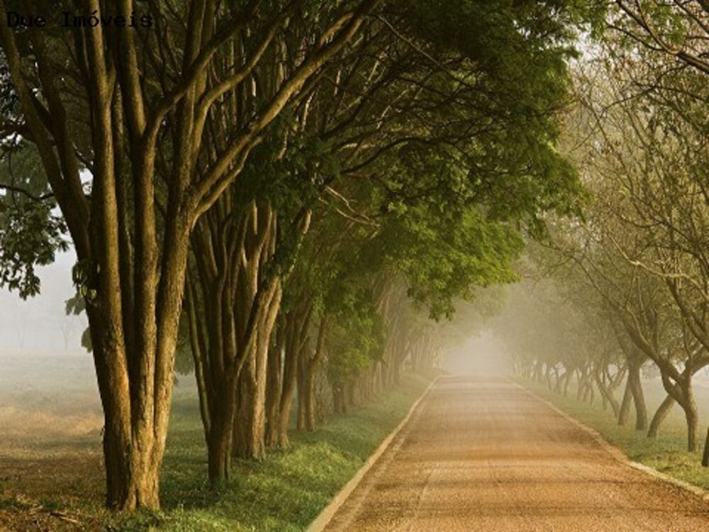 Terreno, 2235 m² - Foto 1