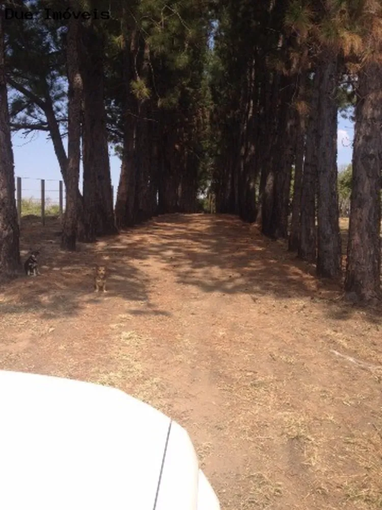 Loteamento e Condomínio, 7 hectares - Foto 3