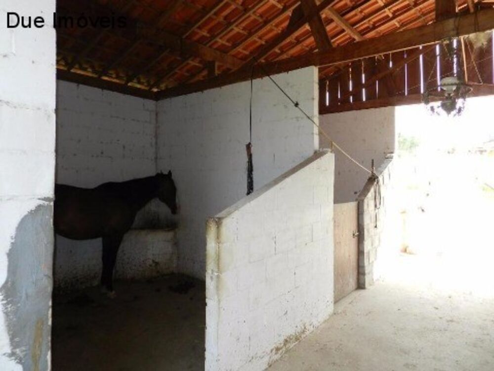 Fazenda, 8 hectares - Foto 12