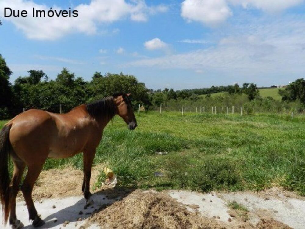 Fazenda, 8 hectares - Foto 10