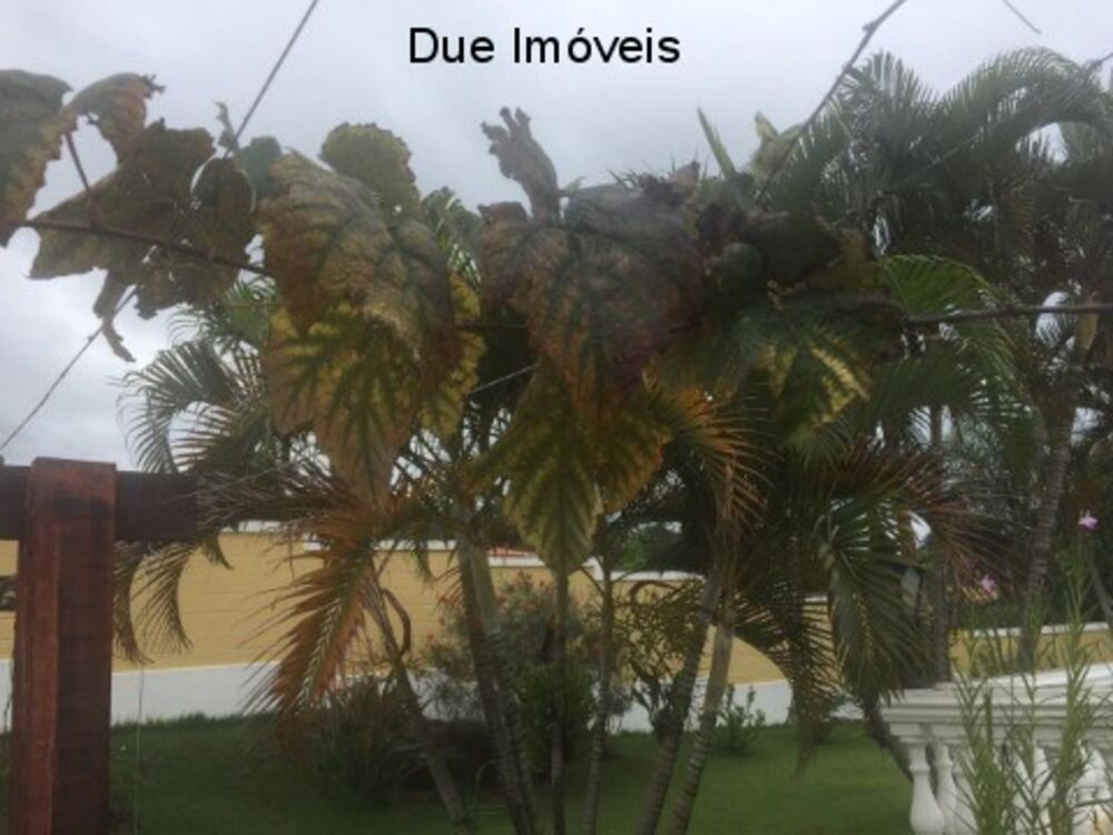 Chácara, 4 quartos - Foto 4