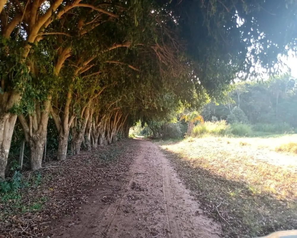 Fazenda, 1000 m² - Foto 28
