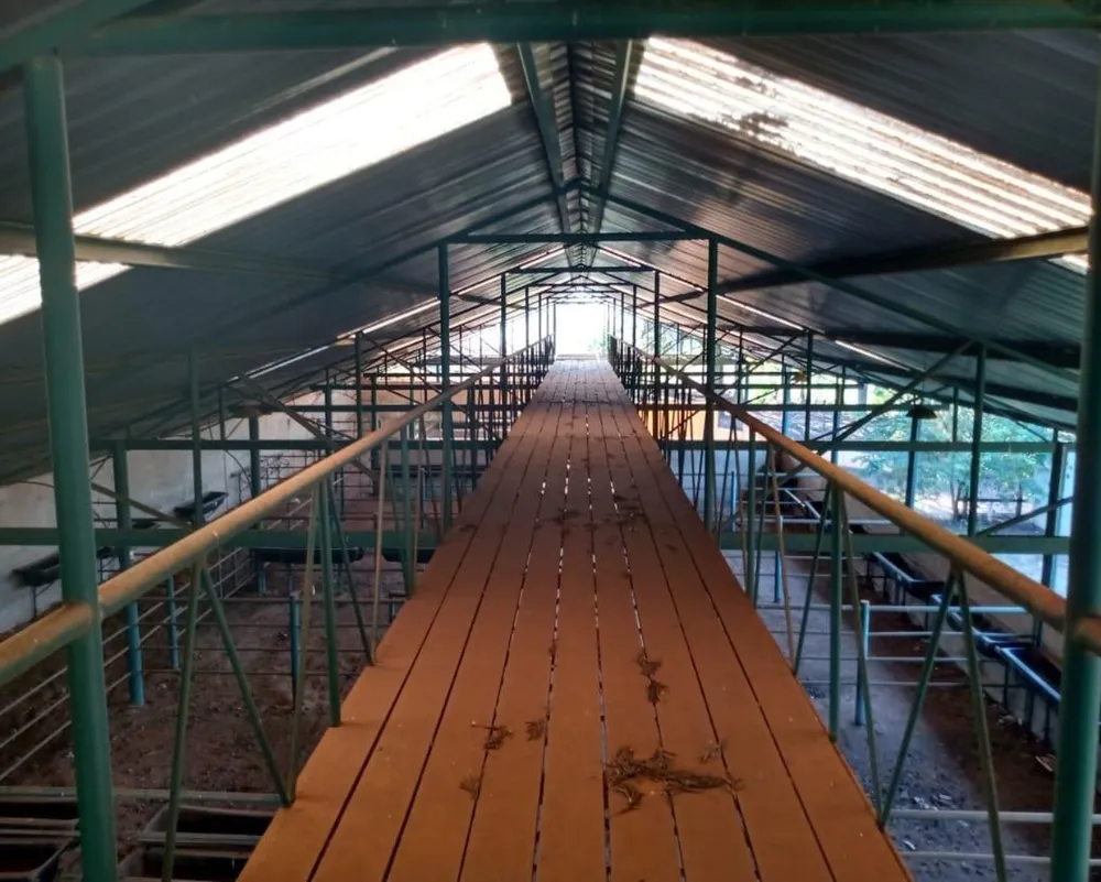 Fazenda, 1000 m² - Foto 27