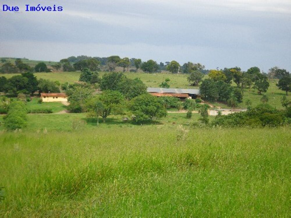 Fazenda à venda com 8 quartos, 1000m² - Foto 14