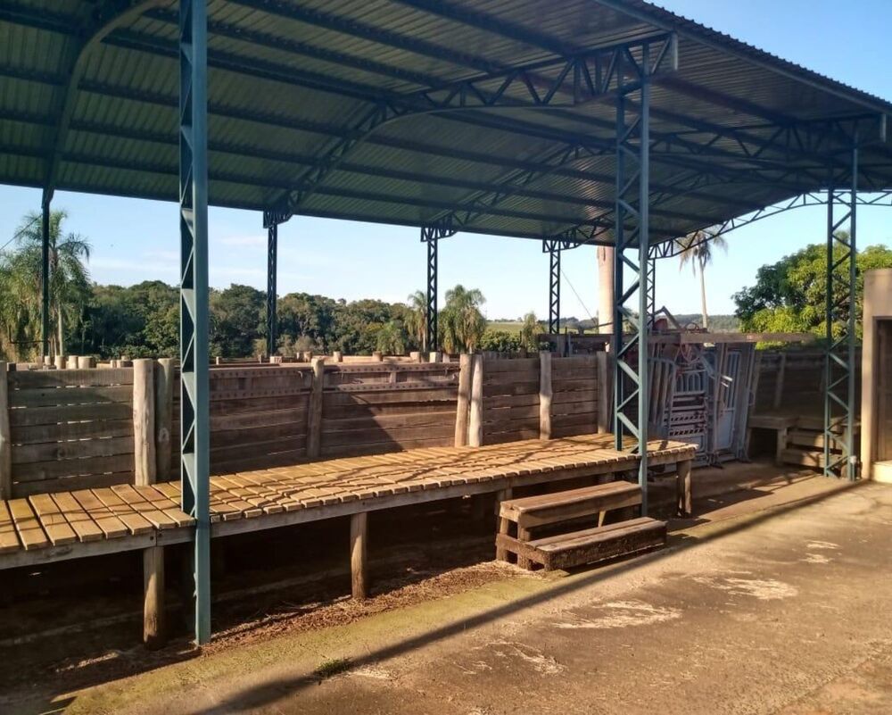 Fazenda à venda com 8 quartos, 1000m² - Foto 20