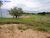 Fazenda, 1000 m² - Foto 11