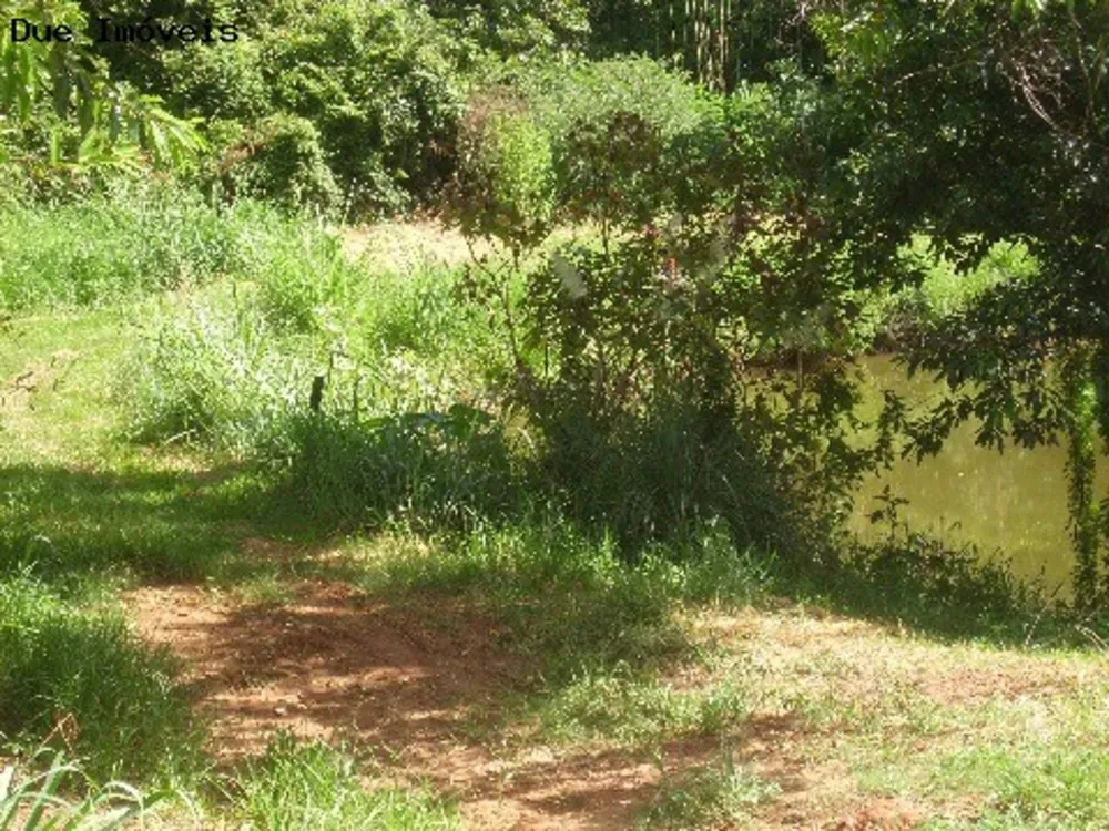 Terreno, 4 hectares - Foto 4