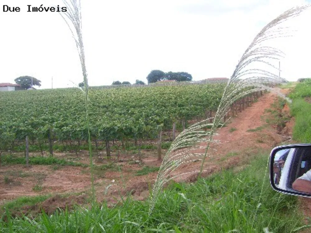 Terreno, 4 hectares - Foto 2