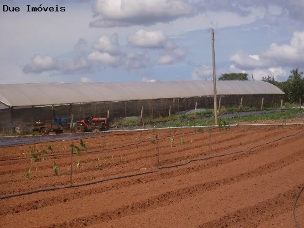 Terreno, 4 hectares - Foto 4